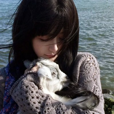 亚西西的圣方济各
