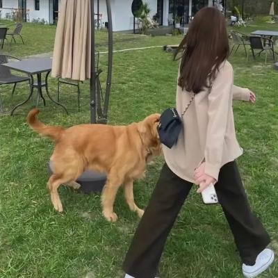 被遗忘的人生
